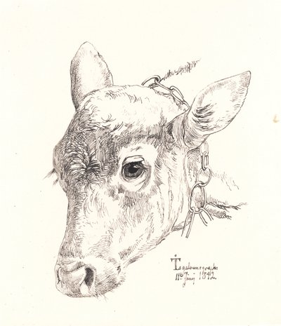 子牛の頭 作： Johan Thomas Lundbye