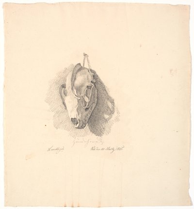 犬の頭蓋骨 作： Johan Thomas Lundbye