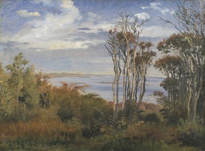 Kolås Wood、Vejrhøj 作： Johan Thomas Lundbye