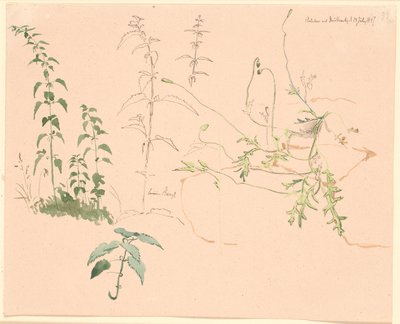 植物研究 作： Johan Thomas Lundbye