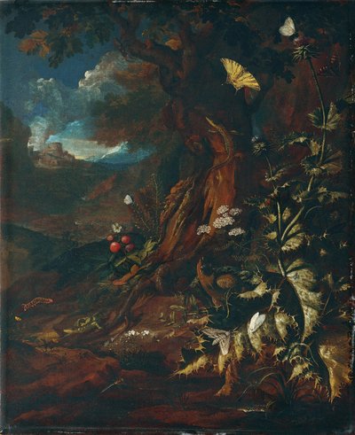 爬虫類と昆虫のいる風景 (I) 作： Johann Adalbert Angermayer