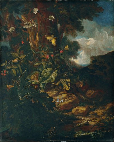 爬虫類と昆虫のいる風景 (II) 作： Johann Adalbert Angermayer