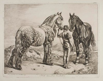 作： Johann Adam Klein