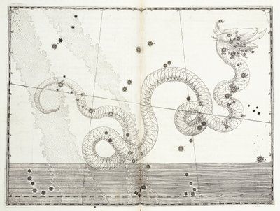 コンステレーションセルペンスキャップとセルペンスコーダc.1603 作： Johann Bayer