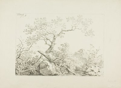 水辺の木と岩 作： Johann Christian Klengel