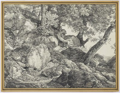 1818年、アリッチャのパラッツォチギ公園（黒鉛と敷き紙に黒いチョーク） 作： Johann Christian Reinhardt