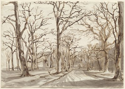 冬のローゼンタールの森の小道 作： Johann Christian Reinhart