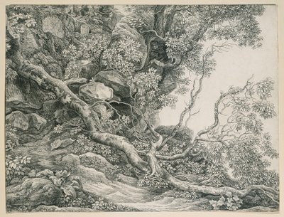  作： Johann Christian Reinhart
