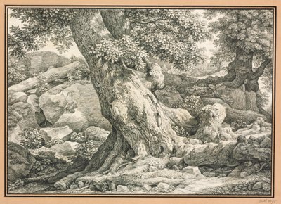  作： Johann Christian Reinhart