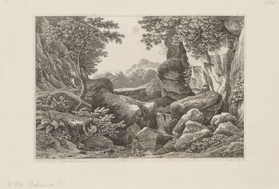  作： Johann Christian Reinhart