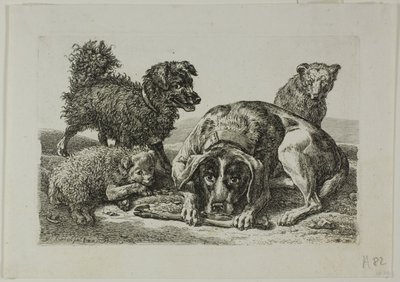 Die Zweite Thierfolge からの 4 匹の犬 作： Johann Christian Reinhart