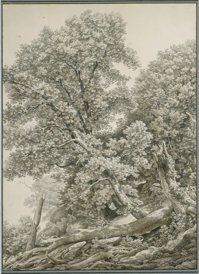  作： Johann Christian Reinhart
