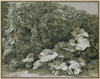  作： Johann Christian Reinhart