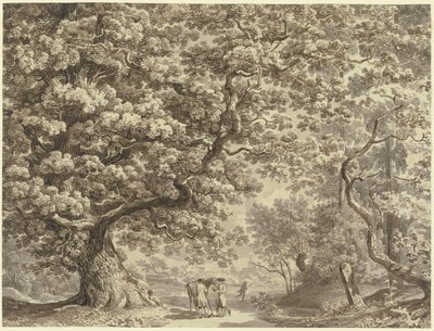  作： Johann Christian Reinhart