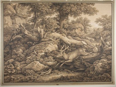  作： Johann Christian Reinhart