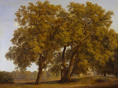  作： Johann Christian Reinhart