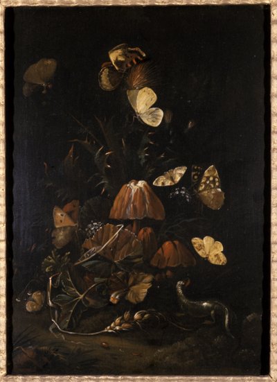 蝶とトカゲ（オークの木の油）の花 作： Johann Christian Thomas Winck