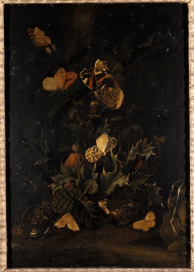 蝶とヒキガエル（オークの木の油）の花 作： Johann Christian Thomas Winck