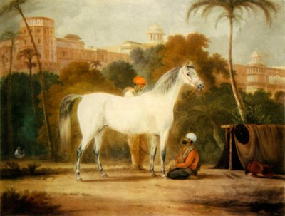 「チャールズ 2 世の王室の牝馬」、c1685、1944 年。 作： Johann Christof Sartorius