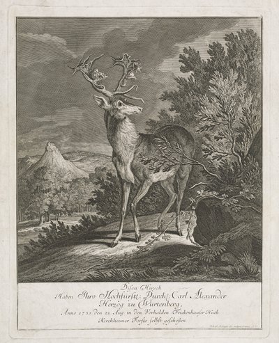風景の中の雄大な雄鹿 作： Johann Elias Ridinger