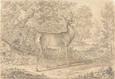 編み枝細工の柵の前の見事な若い雄鹿 作： Johann Elias Ridinger