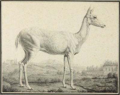  作： Johann Elias Ridinger