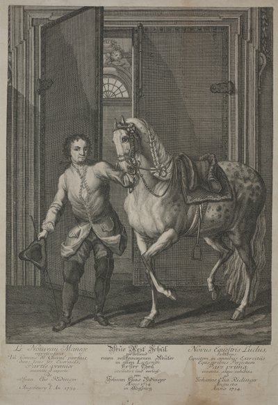 馬術の新しい学校 作： Johann Elias Ridinger
