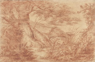 古い柳の幹の近くの植物や草 作： Johann Elias Ridinger