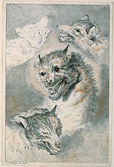  作： Johann Elias Ridinger