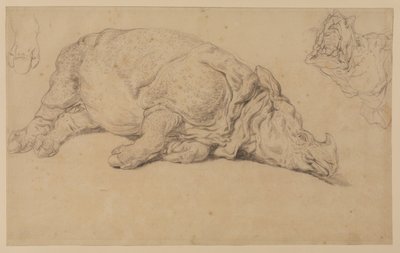 横になっているサイ 作： Johann Elias Ridinger or Riedinger
