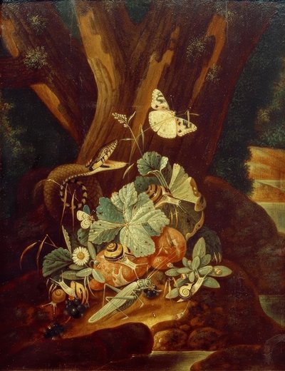 昆虫、カタツムリ、ヘビ 作： Johann Falch