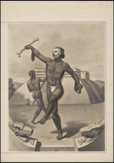 メソアメリカを描いたワルデックのオリジナル作品集, Box 10 of 22 作： Johann Friedrich Maximilian von Waldeck