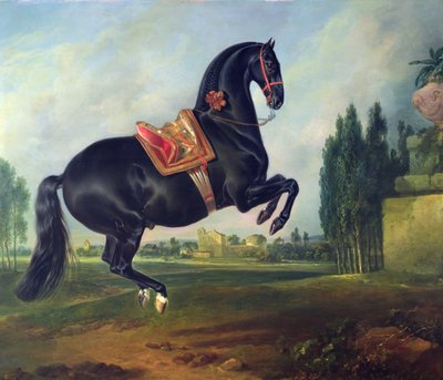 クールベットを演じる黒い馬（詳細は264709を参照） 作： Johann Georg Hamilton