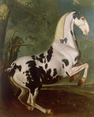アイスグルバースタッドでのPiebaldスタリオン 作： Johann Georg Hamilton