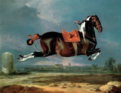 馬鹿馬「セヒーロー」飼育 作： Johann Georg Hamilton