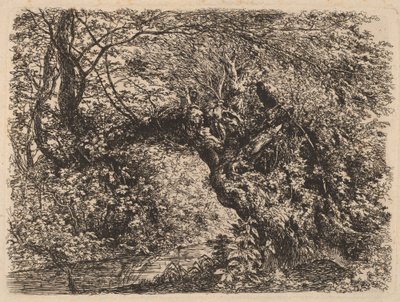 小川のそばの古い柳 作： Johann Georg von Dillis