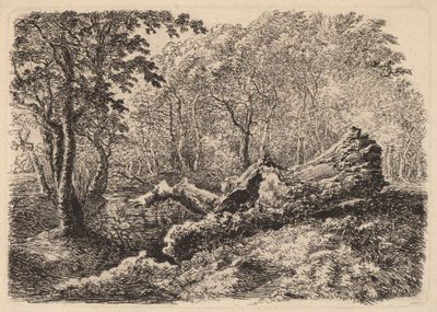 成形された木の幹、1794年 作： Johann Georg von Dillis