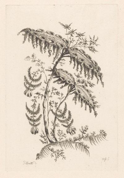 角のある葉 フルール・バロック（シリーズタイトル） 作： Johann Heinrich  Hess