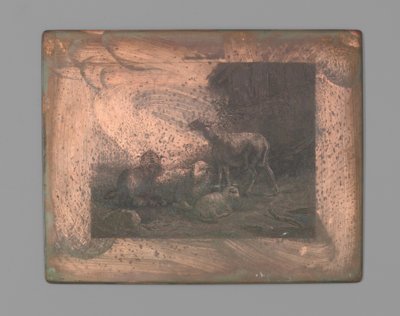 4匹の羊 作： Johann Heinrich Maria Hubert Rennefeld (signed by artist)