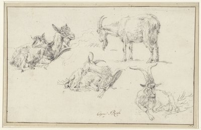 ヤギの研究 作： Johann Heinrich Roos (possibly)