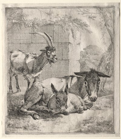 ヤギとロバ 作： Johann Heinrich Roos