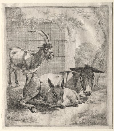 ヤギとロバ。 作： Johann Heinrich Roos