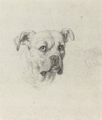 ボクサー 作： Johann Heinrich Wilhelm Tischbein