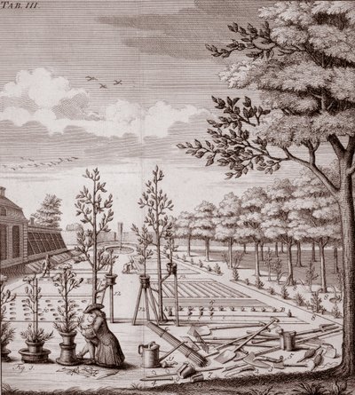 ガーデンシーンのイラスト、1753 作： Johann Hermann Knoop