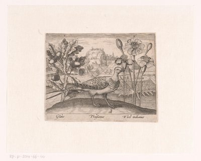 風景の中に花や動物を描いた版画シリーズ ナラ、キジ、キクのある風景 動植物と花のある風景（連載タイトル） 作： Johann Hogenberg