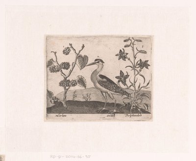 風景の中に花や動物を描いた版画シリーズ サギとラークスパーのある風景 動植物と花のある風景（連載タイトル） 作： Johann Hogenberg