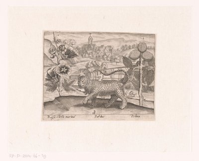 風景の中に花や動物を描いた版画シリーズ タチアオイ、ヒョウ、梅の木のある風景 動植物と花のある風景（連載タイトル） 作： Johann Hogenberg