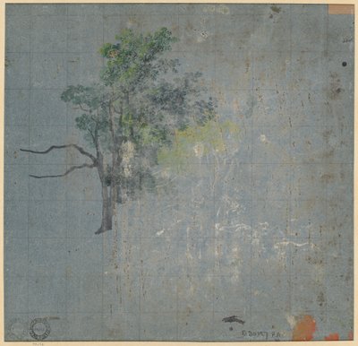 樹木研究 (裏面) 作： Johann Jacob Dorner