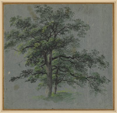 二本の木 (直腸) 作： Johann Jacob Dorner