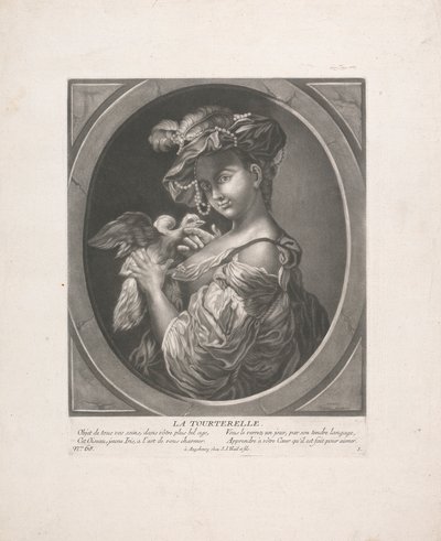 鳩 作： Johann Jacobus Haid